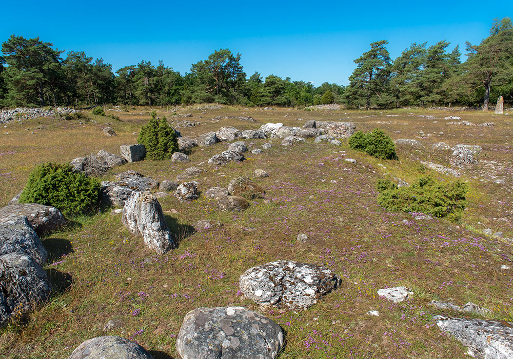 Gålrum gravfelt, Gotland