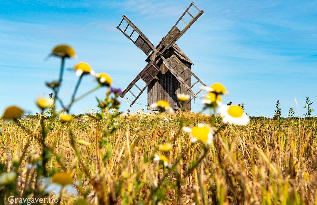 vindmølle på Gotland