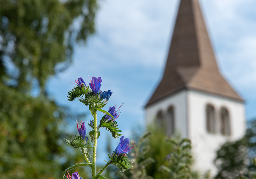 Linde kyrka (Gotland)