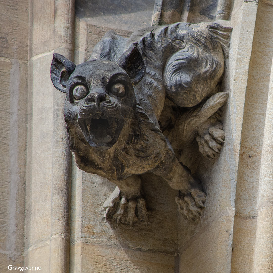 Grotesk på St. Vitus-katedralen.