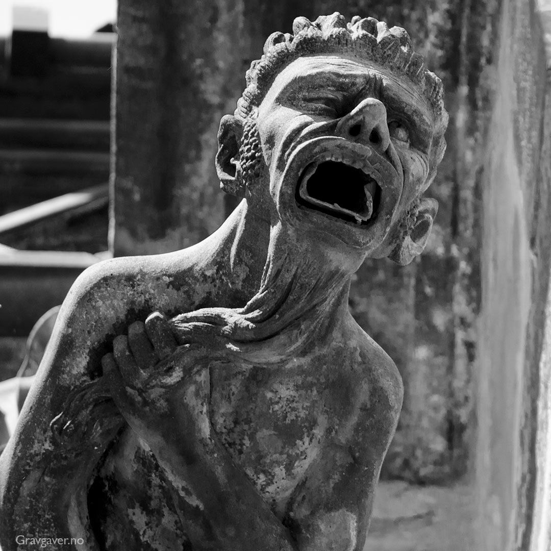 Vannkaster på St. Vitus-katedralen i Praha