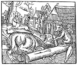 Fra En Ræffue Bog 1555